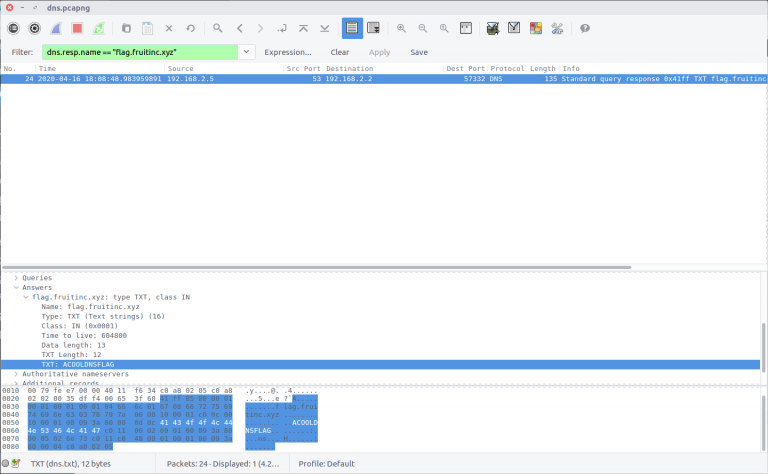 wireshark filter dns request