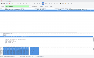 seacrh domain in wireshark https